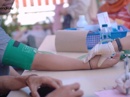 HUT ke-55, Bank Bengkulu Gelar Donor Darah untuk Umum Bersama PMI